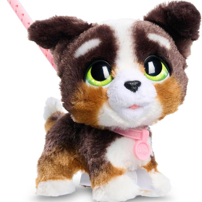 Cão Bernedoodle Walkalots castanho e branco com trela rosa