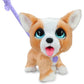 Apresentamos FurReal Poopalots Corgi com o SKU 778057324 recomendado para + 3 anos