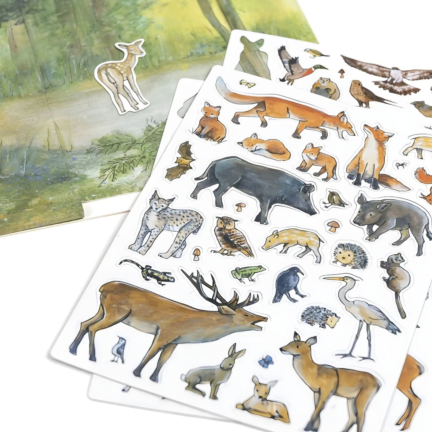 Apresentamos Jogo Magnético - Floresta com o SKU 723067025 recomendado para + 3 anos