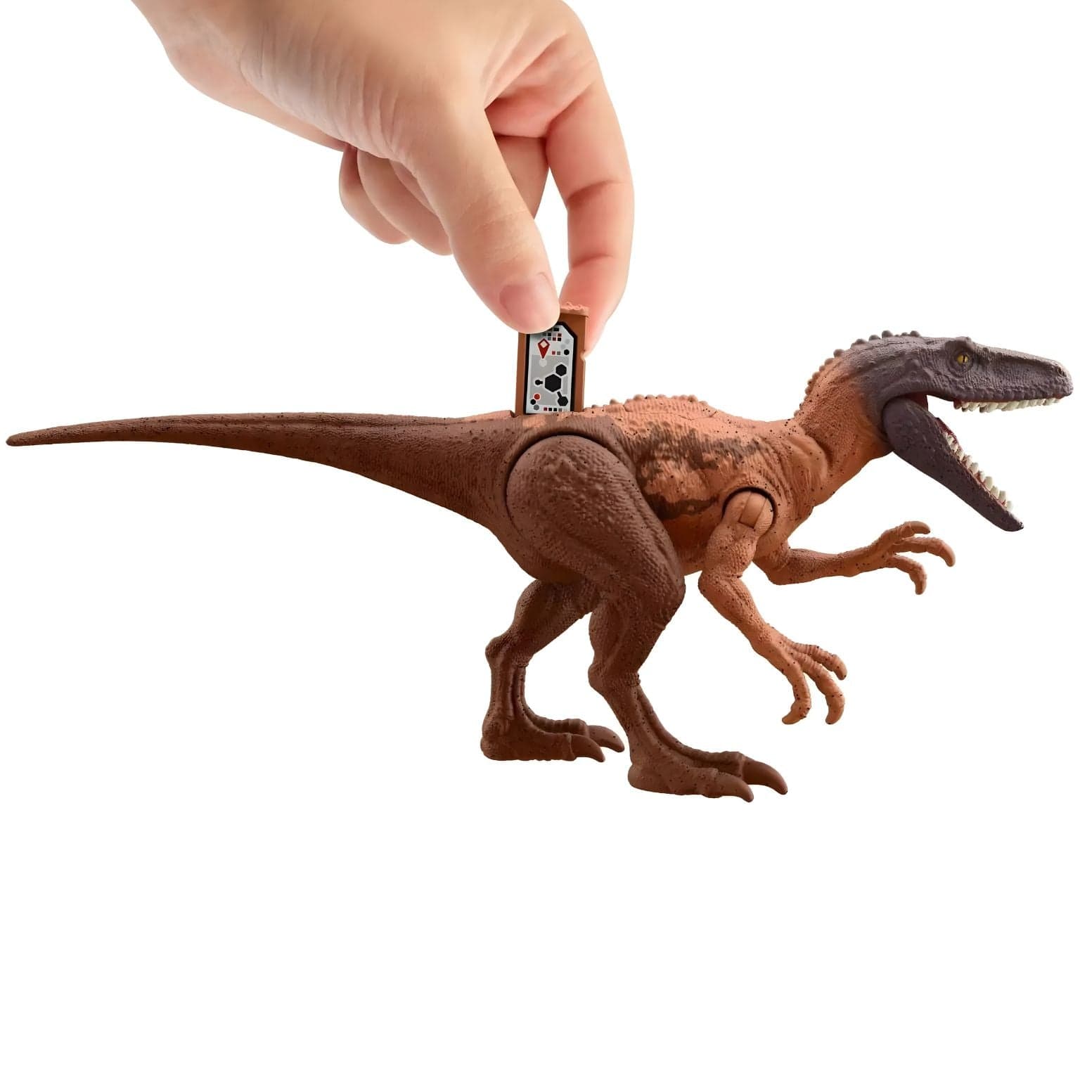 Apresentamos Jurassic World - Dinossauro  Herrerasaurus com o SKU 032729425 recomendado para + 4 anos