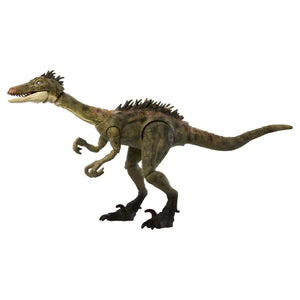 Apresentamos Jurassic World Hammond Collection: Troodon com o SKU 232849825 recomendado para + 8 anos