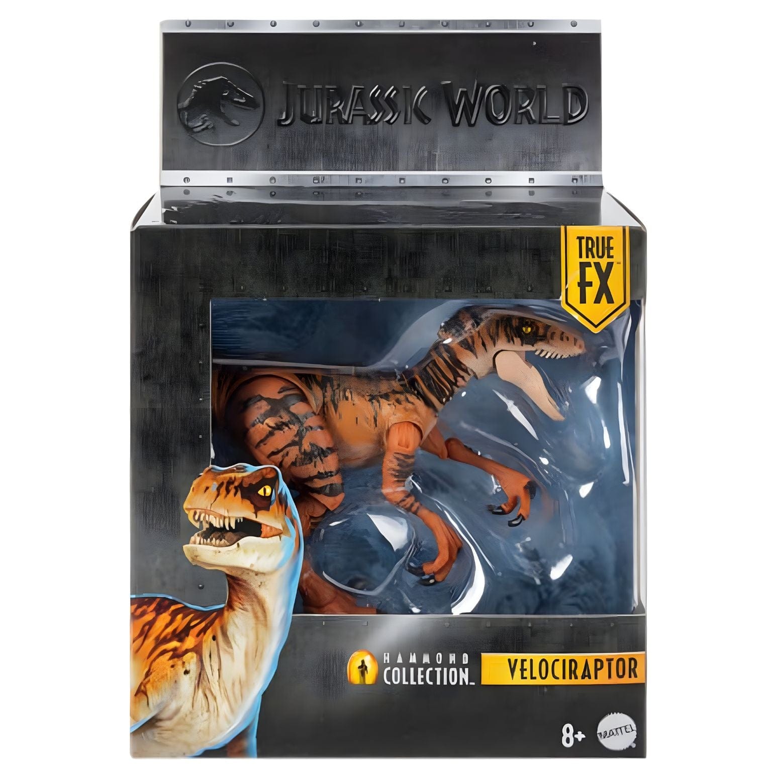 Apresentamos Jurassic World Hammond Collection: Velociraptor com o SKU 232849925 recomendado para + 8 anos
