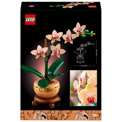 LEGO Botanicals Orquídea em Miniatura: verso da caixa com pormenores das flores