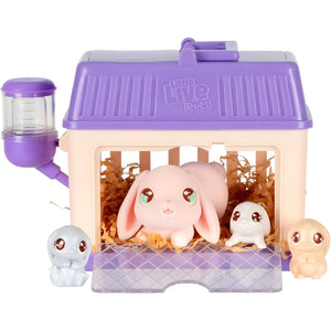 Apresentamos Little Live Pets Lil Bunny com o SKU 649457625 recomendado para + 5 anos