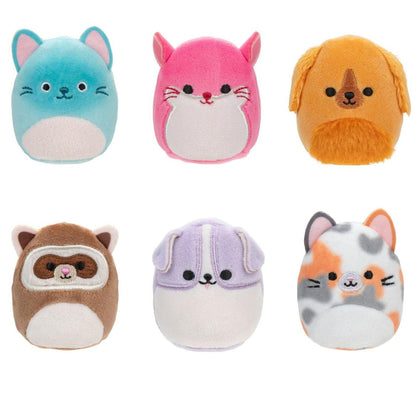 Seis peluches Squishville Amigos Perfeitos: gatos, cão, guaxinim e outros