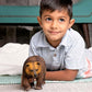 Apresentamos Figura de borracha – Urso Grizzly com o SKU 430027425 recomendado para + 3 anos