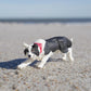 Apresentamos Figura de borracha – Border Collie com o SKU 435452925 recomendado para + 3 anos