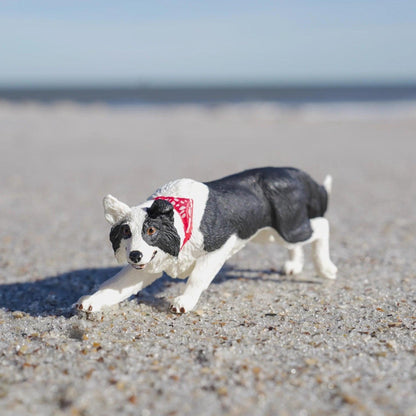 Figura de borracha Border Collie na areia de uma praia