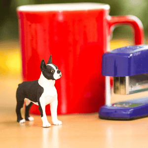 Apresentamos Figura de borracha – Boston Terrier com o SKU 435502925 recomendado para + 3 anos