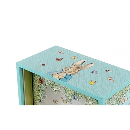 Pormenor do topo azul da caixa Peter Rabbit Garden, com coelho e borboletas