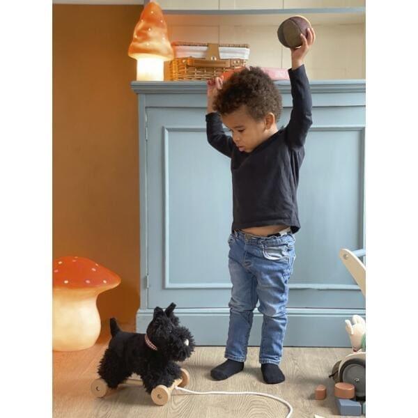 Apresentamos Cão de Puxar Walter com o SKU 729102523 recomendado para + 12 meses