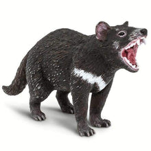 Apresentamos Figura de borracha - Diabo-da-tasmânia com o SKU 430024723 recomendado para + 3 anos