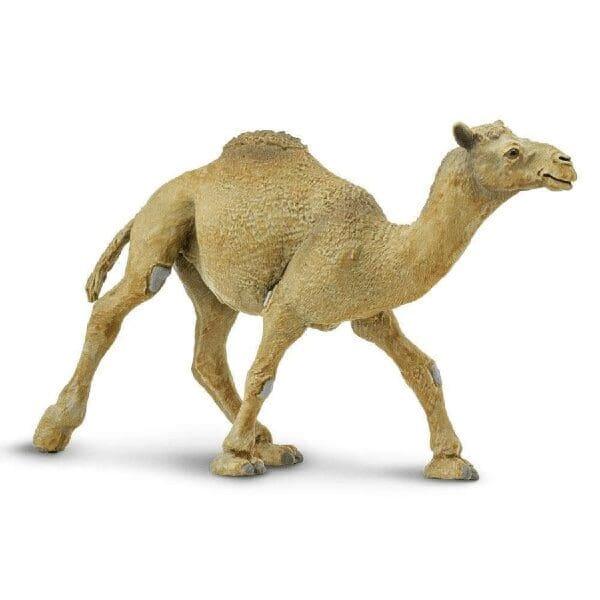 Apresentamos Figura de borracha - Dromedário com o SKU 432242923 recomendado para + 3 anos
