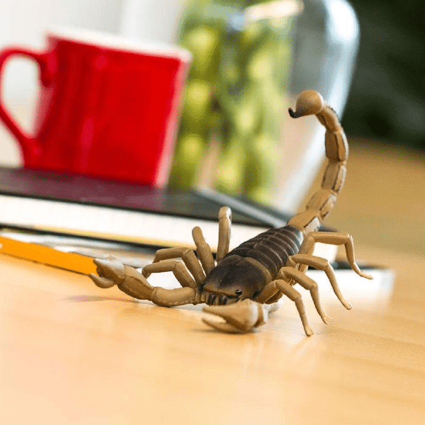 Apresentamos Figura de borracha - Escorpião com o SKU 430026023 recomendado para + 3 anos