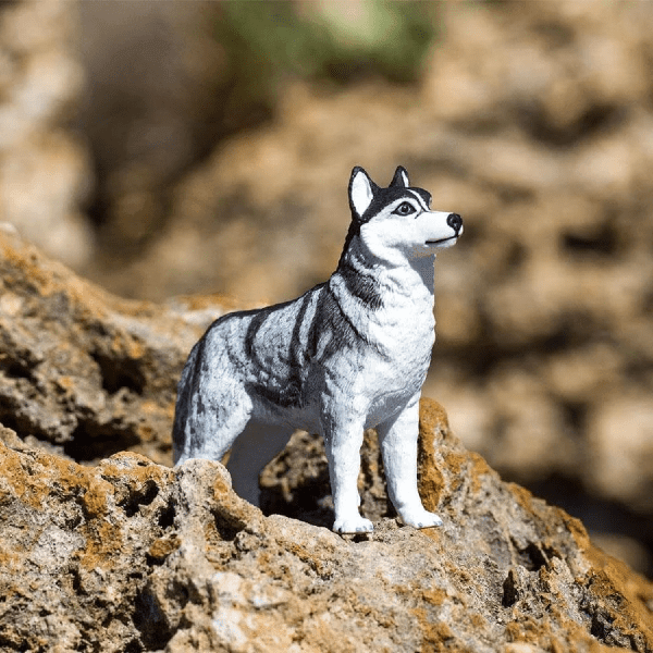 Apresentamos Figura de borracha - Husky Siberiano com o SKU 435522923 recomendado para + 3 anos