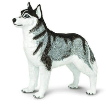 Apresentamos Figura de borracha - Husky Siberiano com o SKU 435522923 recomendado para + 3 anos