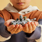 Lego Star Wars - The Mandalorian N-1 Starfighter Microfighter - Brincatoys