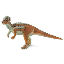 Apresentamos Figura de borracha - Pachycephalosaurus com o SKU 430035021 recomendado para + 3 anos