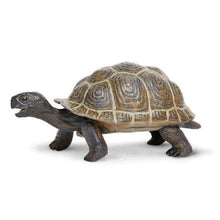 Apresentamos Figura de borracha - Tartaruga bebé com o SKU 432608223 recomendado para + 3 anos