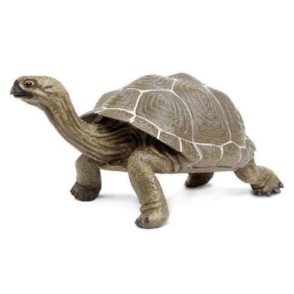 Apresentamos Figura de borracha - Tartaruga Gigante das Galápagos com o SKU 432607223 recomendado para + 3 anos
