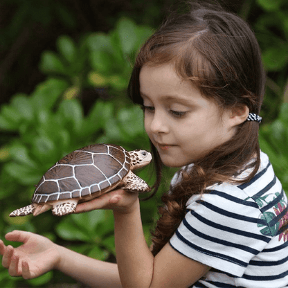 Menina a segurar a Figura de borracha Tartaruga Marinha